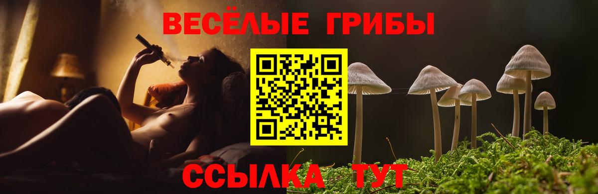 Богородск  Галлюциногенные грибы Psilocybe  купить наркотик  Вход с VPN 